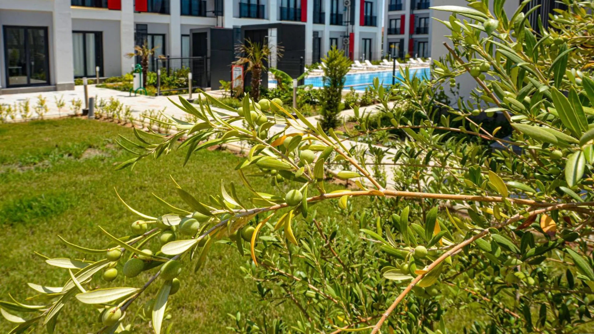 C Suites Antalia Airport 0*, אנטליה